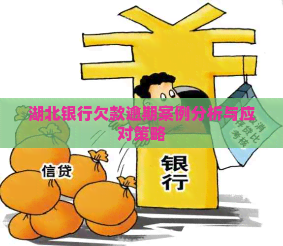 |南宫NG28平台网站湖北银行欠款逾期案例分析与应对策略