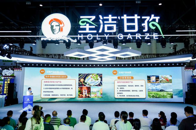 西博会上的甘孜：创新展示风采 务实促进合作